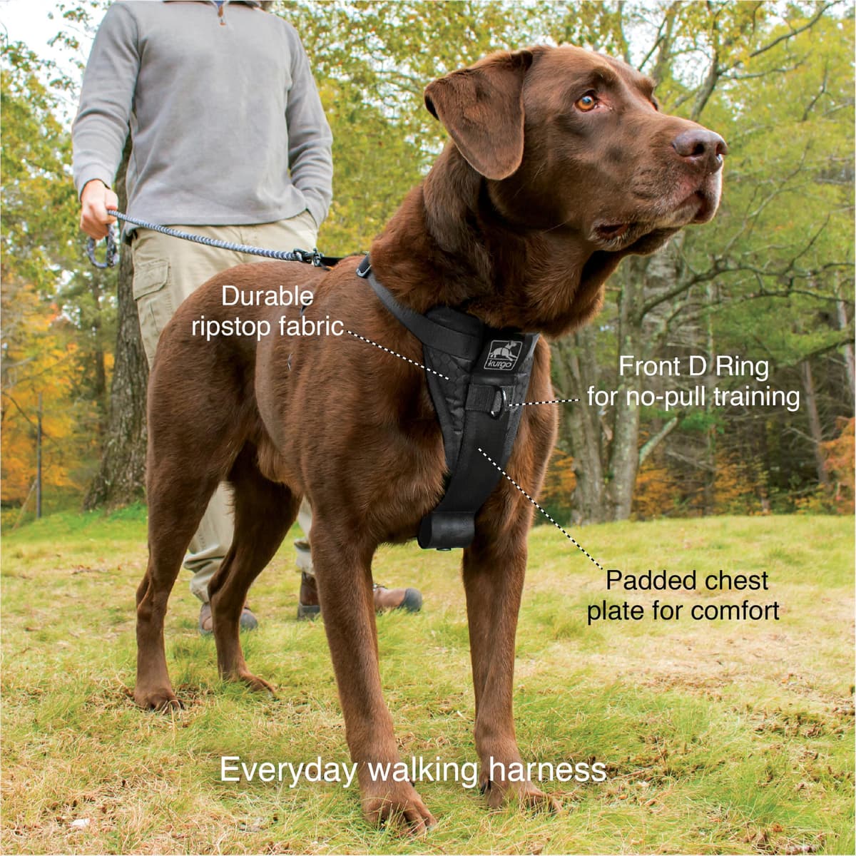 Kurgo Tru-Fit Smart Dog Walking Harness - Comfortable Fit - Adjustable Harness - Reflective Pet Wear - Quick Strap Release - Daily Walk Accessory - Includes Seat Belt Loop - Black - Small — view 3