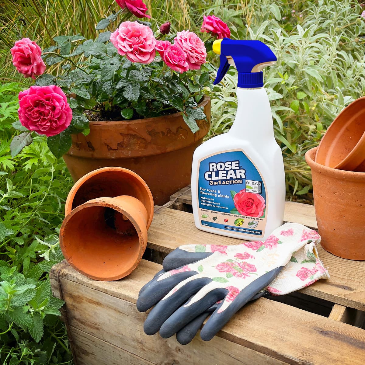 ROSECLEAR 3 in 1 Ready to Use Plant Protection For Aphids, 800 ml, White — view 3