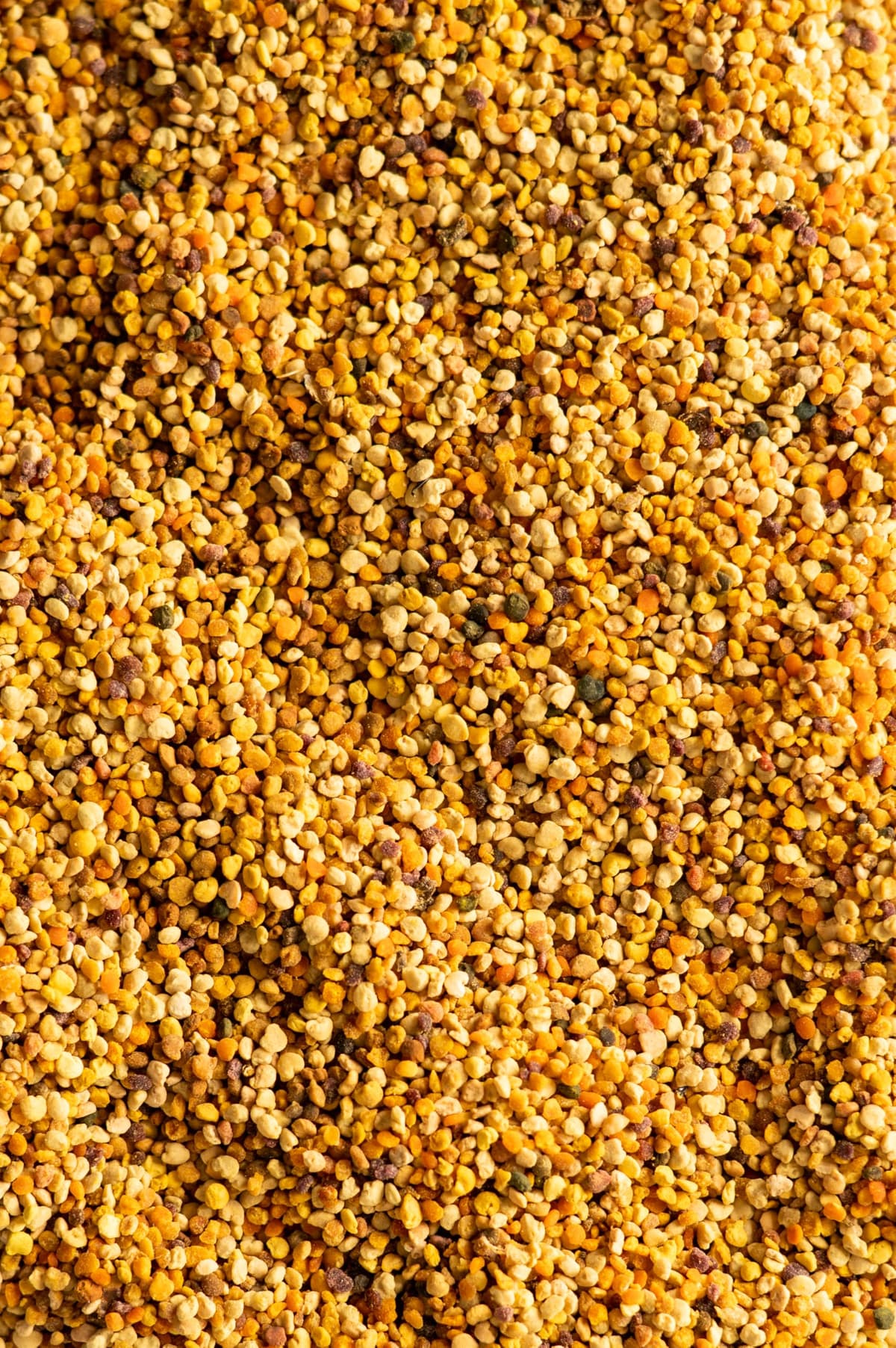 Biojoy Polen de Abeja Ecológico (500 g), Polen de Flores en Gránulos, Natural, Ideal para Comer — view 5