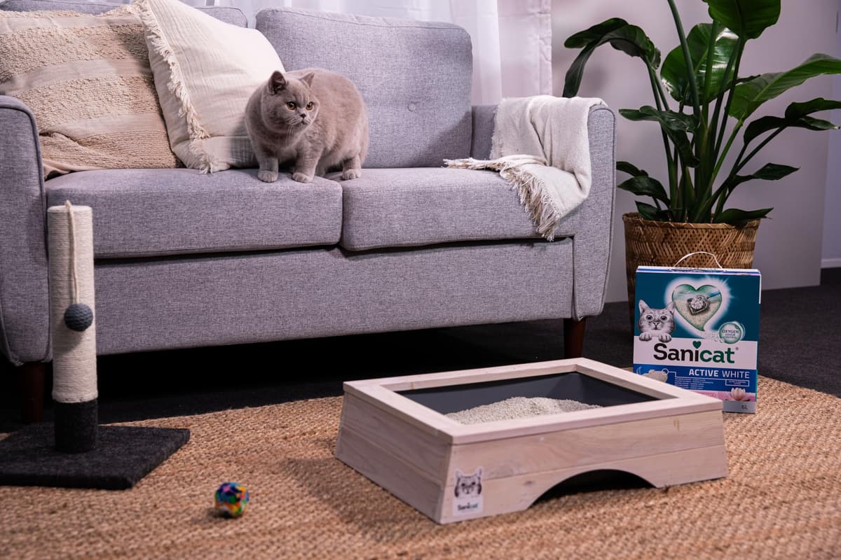 Sanicat - Arena Aglomerante Active White con Flor de Loto, Hecha de minerales naturales con control de olor garantizado, Absorbe la humedad y facilita la limpieza, 6 L de capacidad — view 11