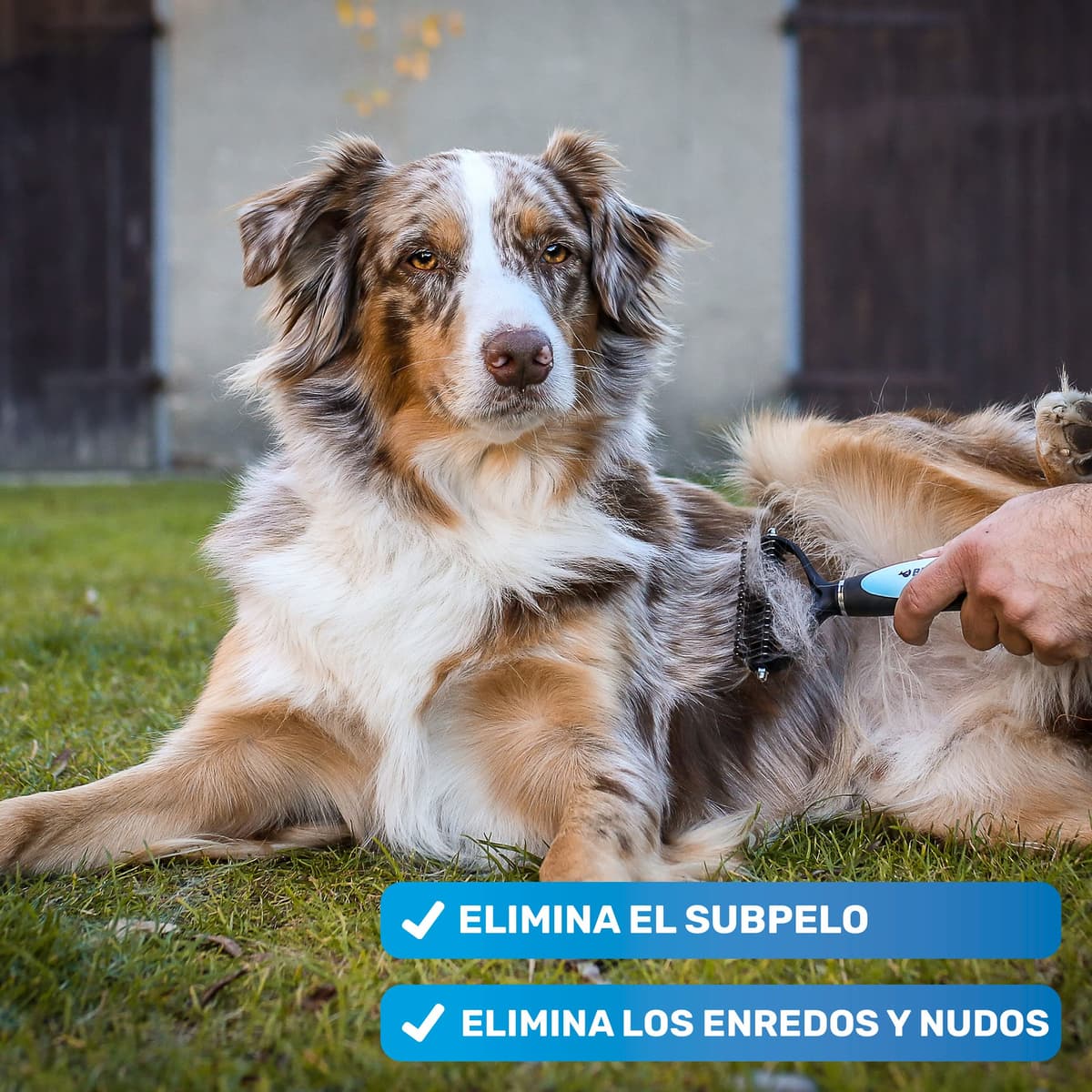 BluePet Peine para Perros y Gatos, Cepillo Gato Perro Pelo Largo, Rastrillo Quita Nudos, Pelo Muerto, Subpelo, Deslanador Mascotas Pelos Largos, Cepillos Quitapelos, Escoba Deslanar, Quitapelo Mascota — view 3