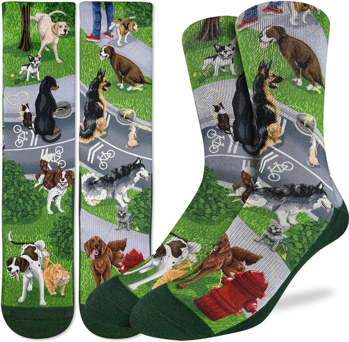 Good Luck Sock Women's Floral Dinosaurs Socks, Shoe Size 5-9 — view 274