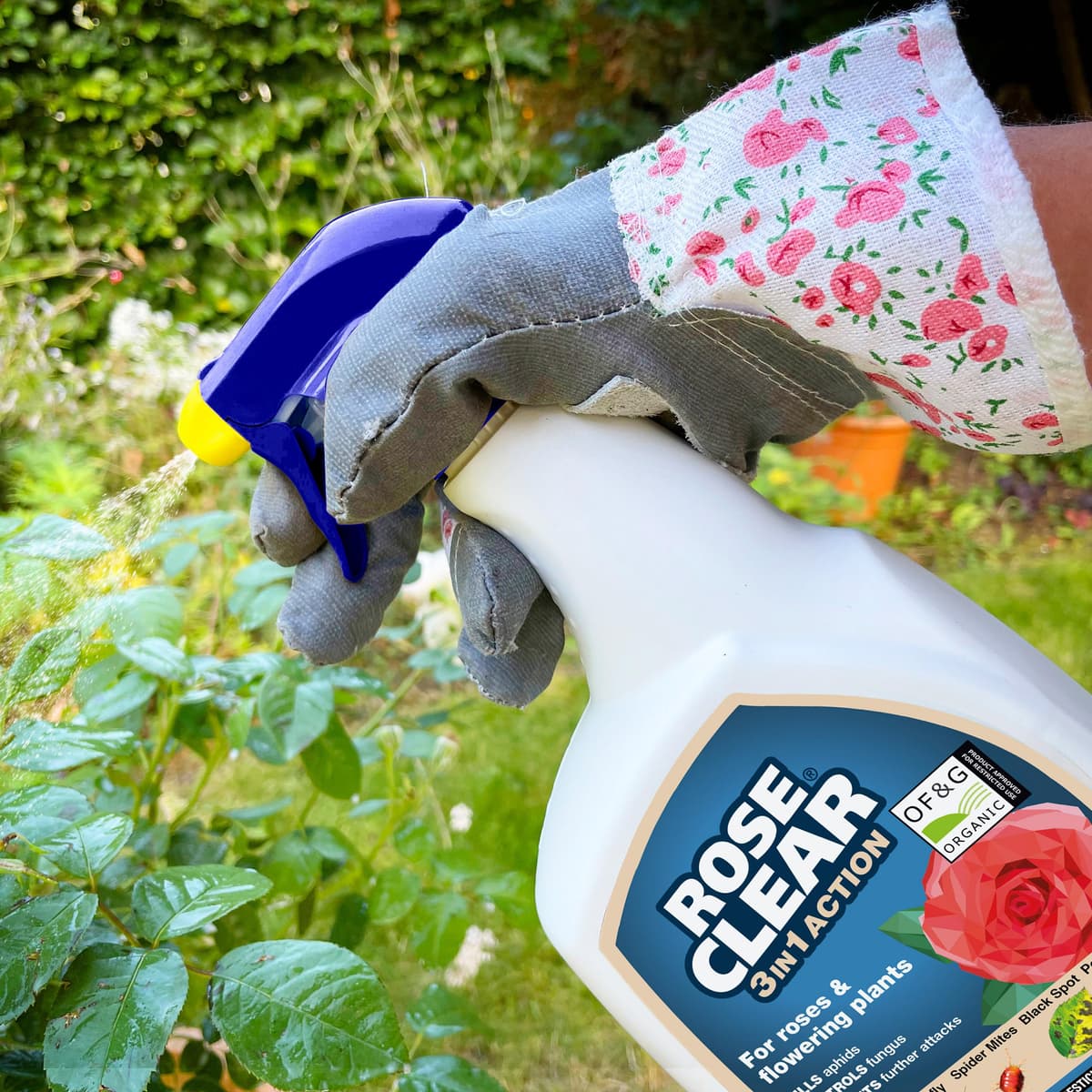 ROSECLEAR 3 in 1 Ready to Use Plant Protection For Aphids, 800 ml, White — view 5