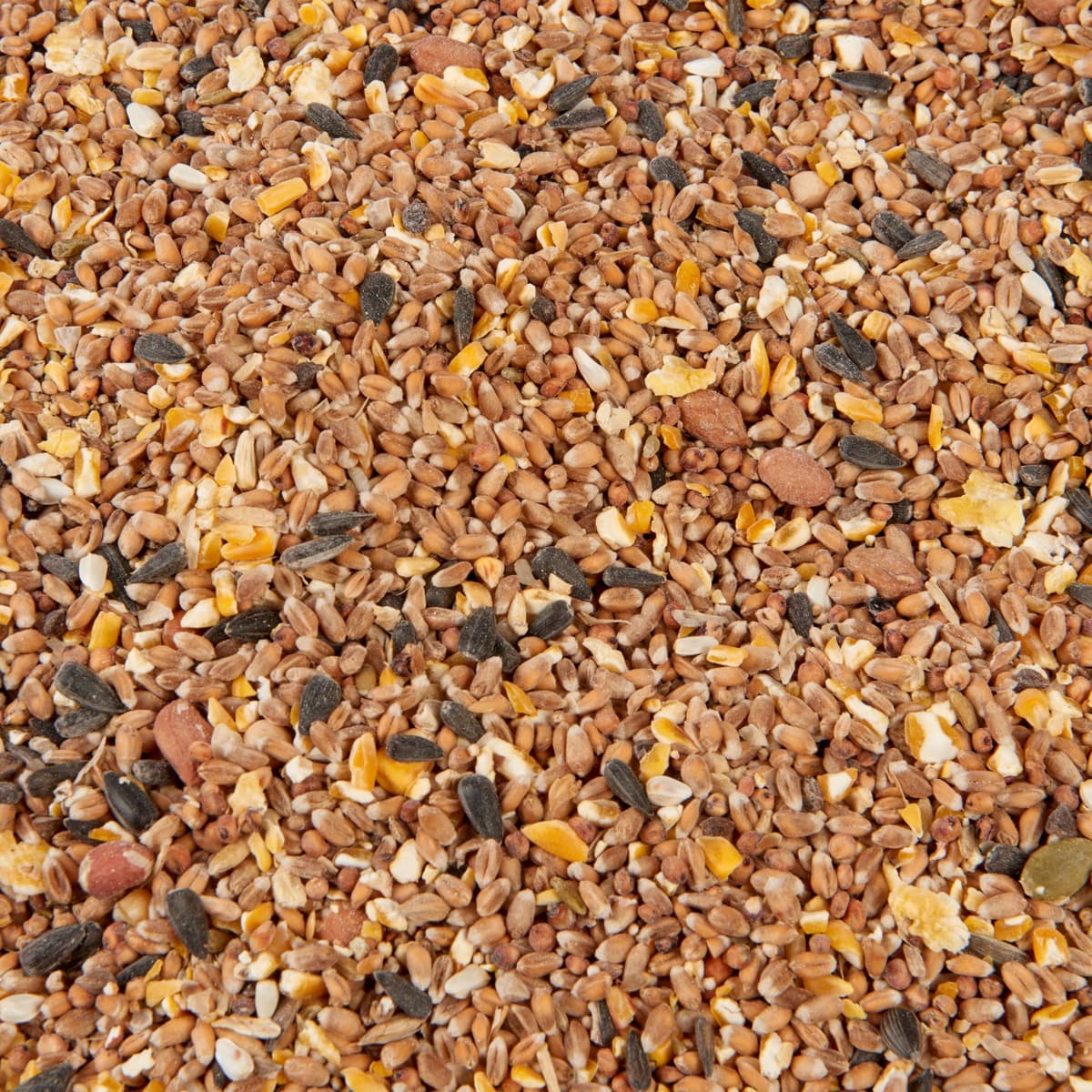 Wild Bird Food (1kg, Wild Bird Mix) — view 2