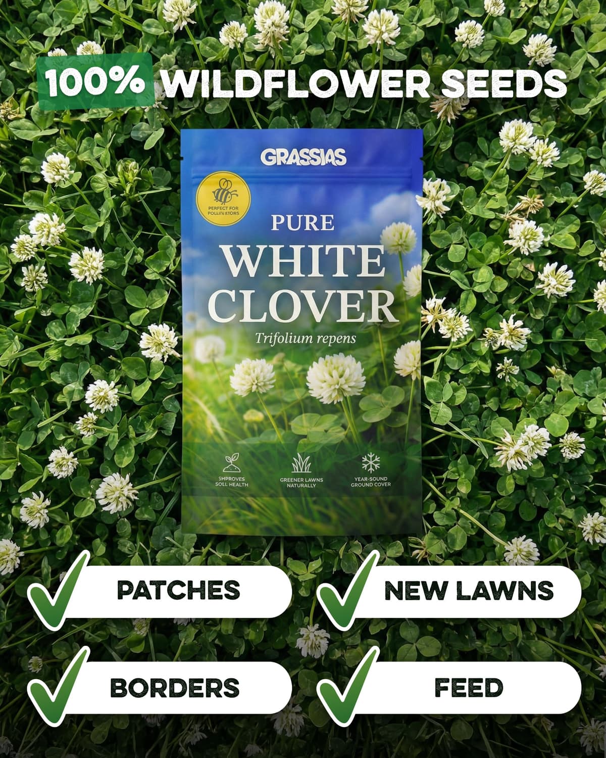 White Clover Lawn Seed – Small Leaf Micro Clover Ground Cover – Bee Friendly, Drought Resistant, Low Maintenance – Nitrogen Fixing Green Manure for Greener Gardens (250g) — view 5