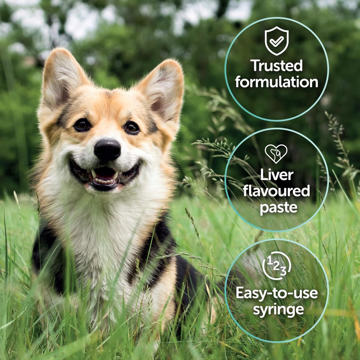 Protexin Veterinary Pro-Kolin Advanced for Dogs Advanced for Dogs, 60 ml — view 4