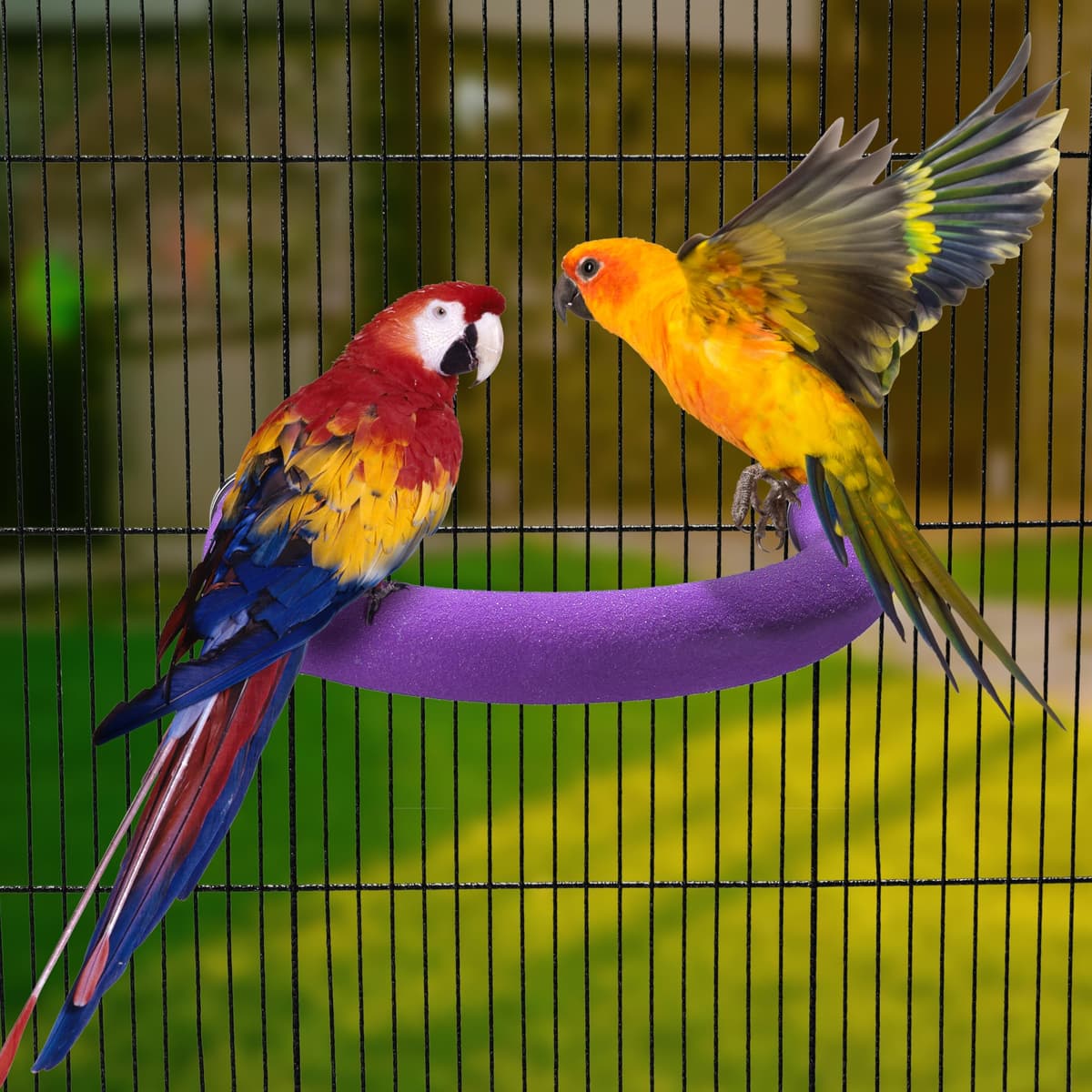 U Shape Parrot Perch Stand Pet Toy Bird Platform Sand Paw Grinding Clean Stick Cage Exercise Conure Budgie Cockatiel Accessories (Purple Large) — view 2