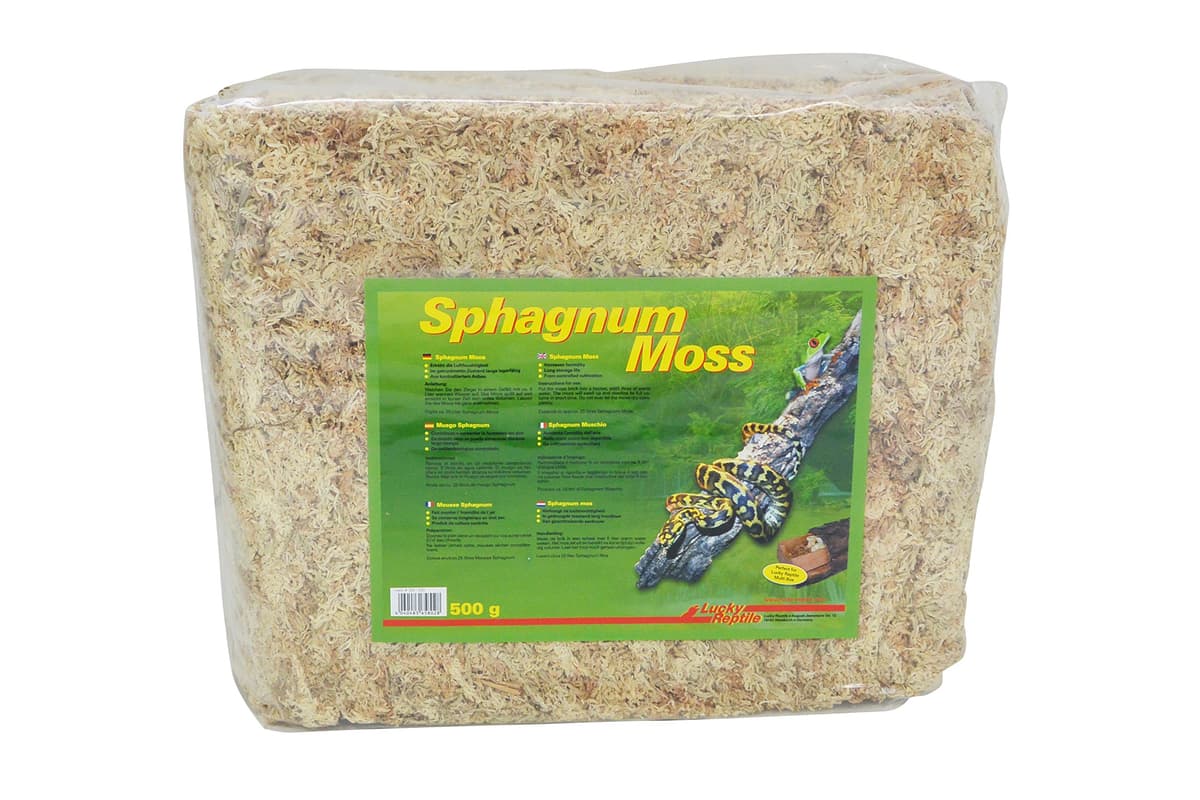 Lucky Reptile Sphagnum Moss - 100 g Ladrillos de Musgo para terrarios - Musgo de terrario para Aumentar Humedad del Aire - Musgo de Cultivo controlado orquídeas y bromelias - Accesorio para Reptiles — view 2