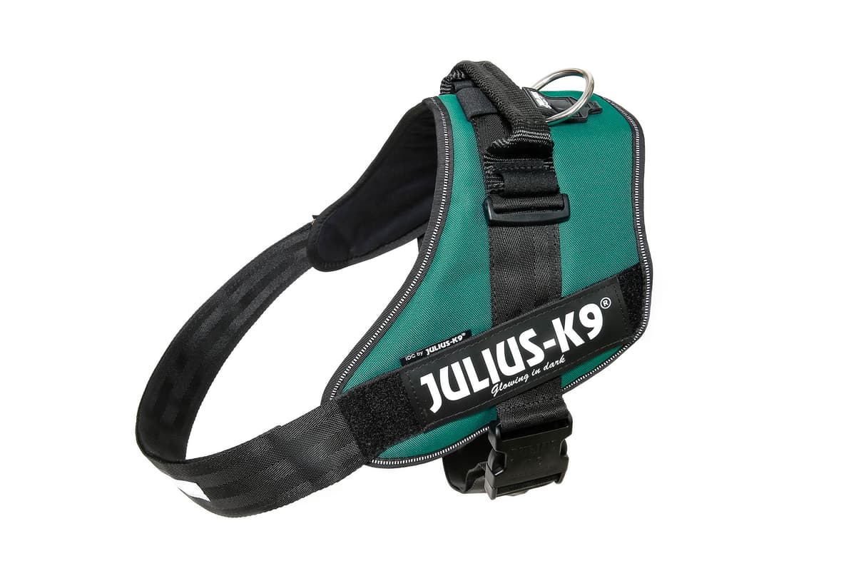 Julius-K9, 16IDC-AM-M, IDC Powerharness, dog harness, Size: Mini, Aquamarine — view 405