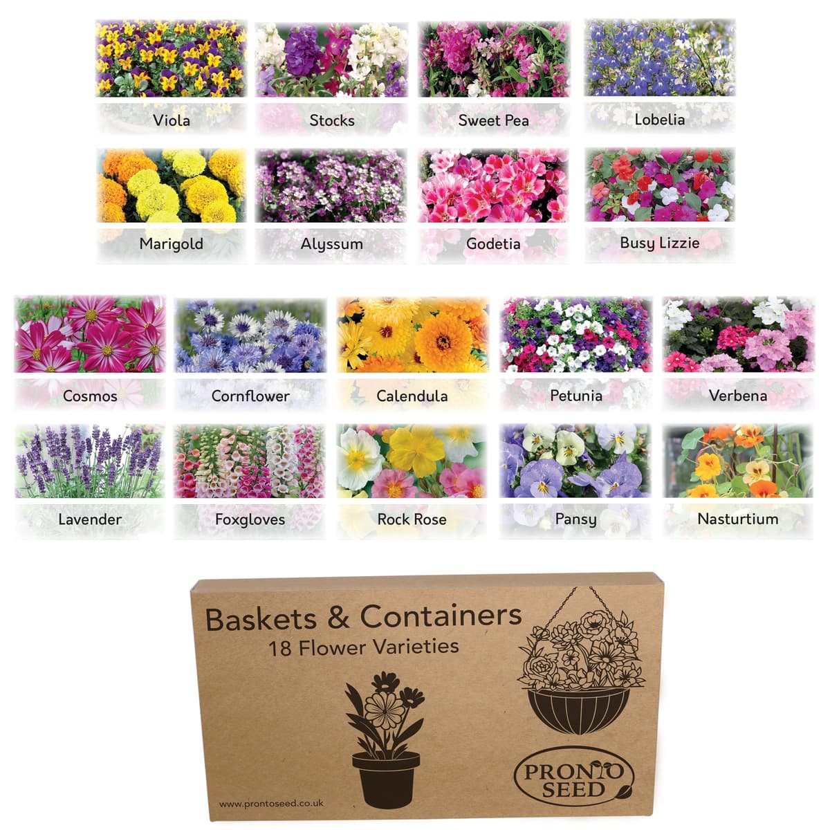 Pronto Seed Grow Your Own Vegetable & Herb Kit – 21 Varieties, 1700+ Seeds for Planting UK – Salad, Spicy, Peas & Beans Mix – Gardening Gifts for Men & Women with Growing Guide — view 9