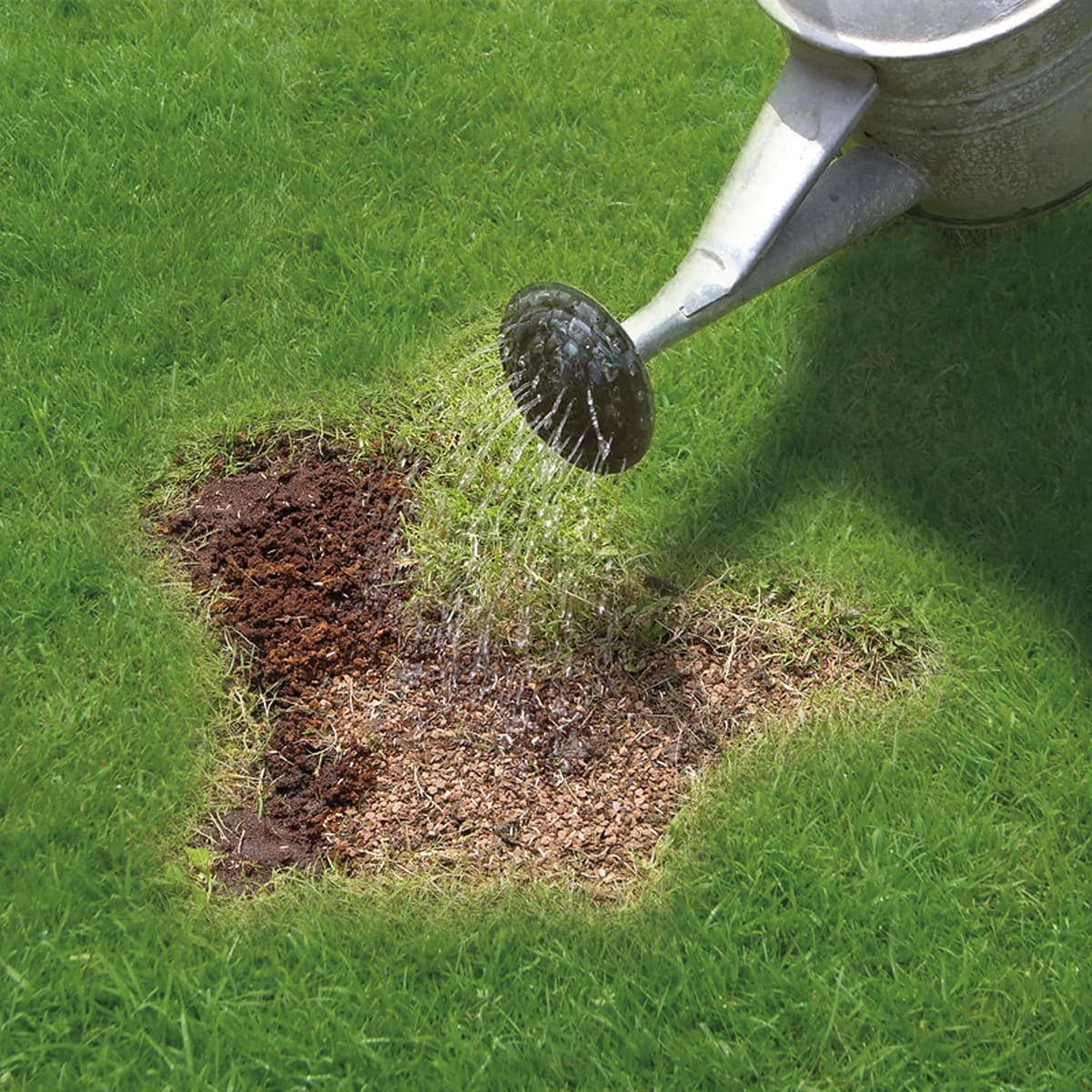 Miracle-Gro Patch Magic Grass Seed, Feed and Coir, 1015 g, Green — view 3