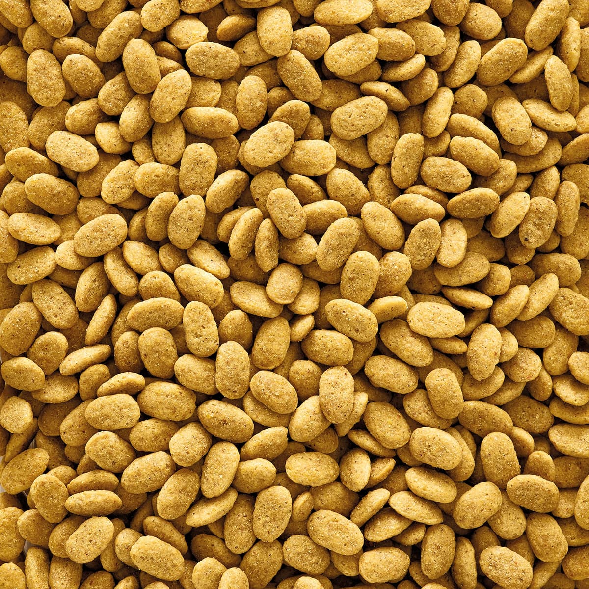 VERSELE-LAGA - NutriBird P15 Original - Granulado extrusionado - Alimento de Mantenimiento para Loros - Monocolor - 10kg — view 2