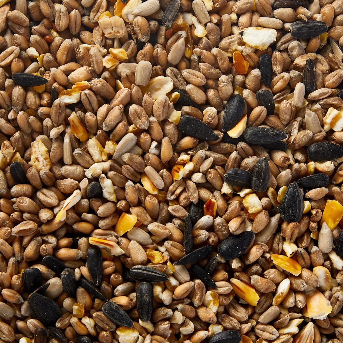 Extra Select Premium Wild Bird Food, 5 Litre — view 2