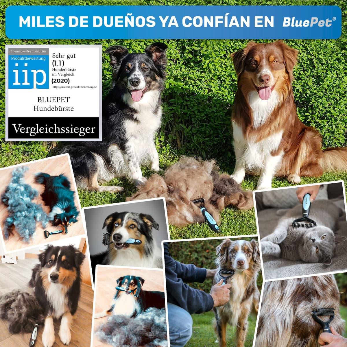 BluePet Peine para Perros y Gatos, Cepillo Gato Perro Pelo Largo, Rastrillo Quita Nudos, Pelo Muerto, Subpelo, Deslanador Mascotas Pelos Largos, Cepillos Quitapelos, Escoba Deslanar, Quitapelo Mascota — view 4