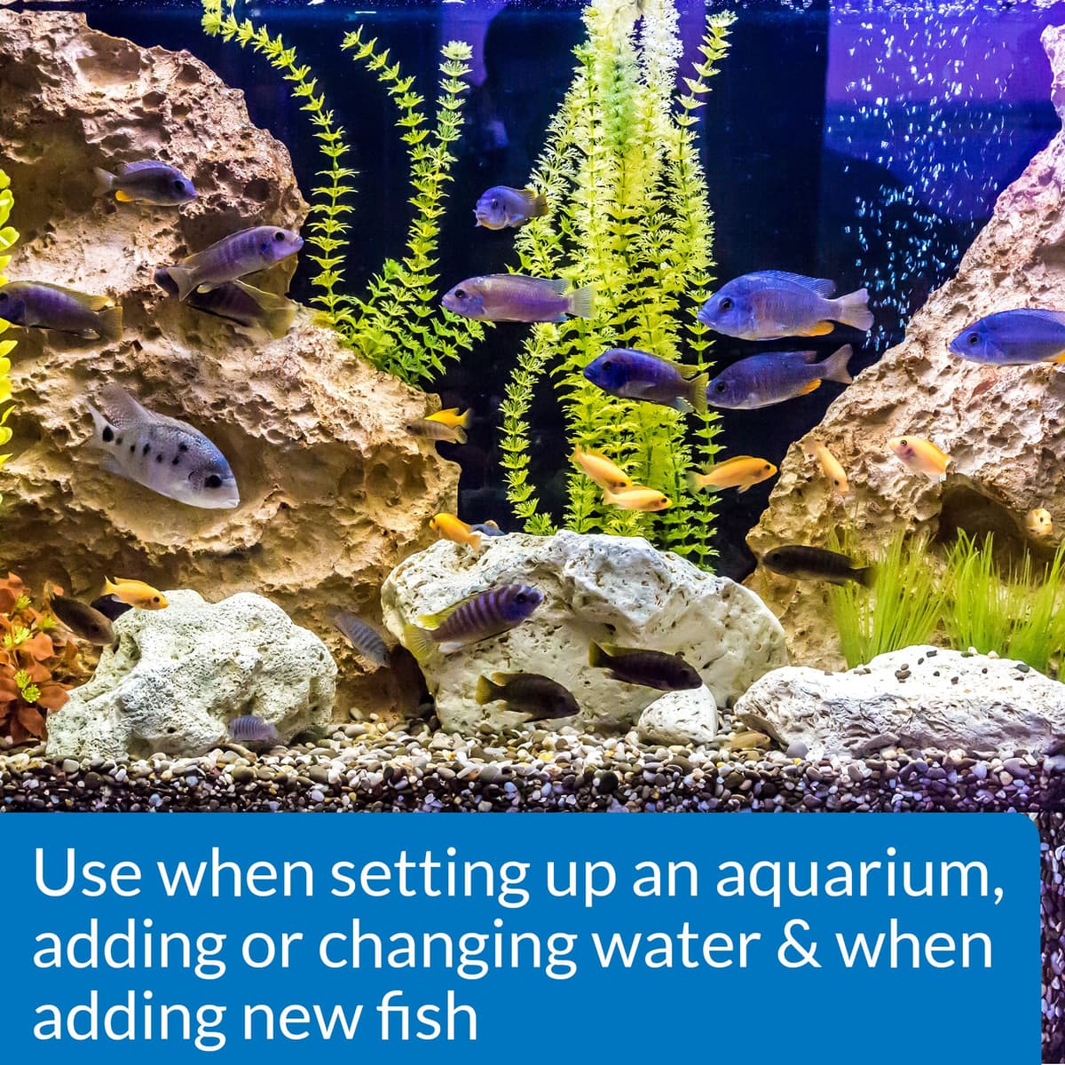 API Stress Coat Aquarium Water Conditioner, Fish , 473 ml Bottle — view 2