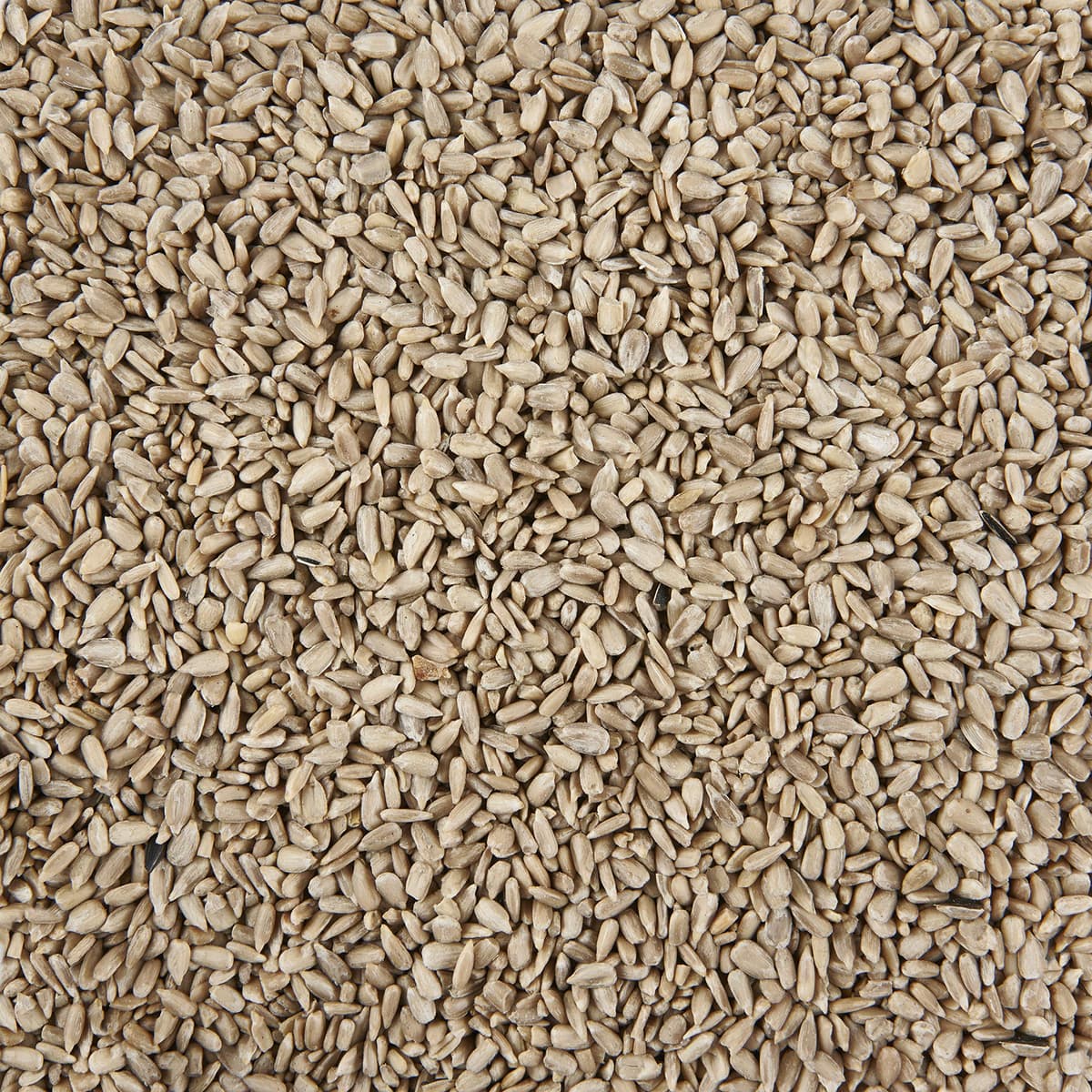 Garden Ting Sunflower Hearts Wild Bird Food Tub, 5 Litre — view 2