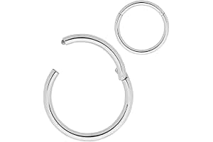 365 SLEEPERS 1pc 316L Surgical Steel Nose Rings 20G 18G 16G 14G 12G 10G 8G 6G 4G 2G Septum Jewellery Hinged Segment Ring Body Piercing Hoop Lip Rings Helix Cartilage Rook Earrings