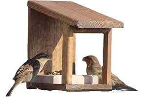 ecol-logic Comedero para pájaros 'Wengué'