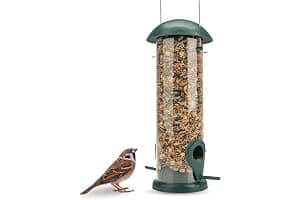 WILDLIFE FRIEND I Comedero para pájaros de Grano, Color Verde, con 2 Zonas de Acceso, estación de alimentación para pájaros, Columna de alimentación, Granos para Aves Silvestres (20cm)