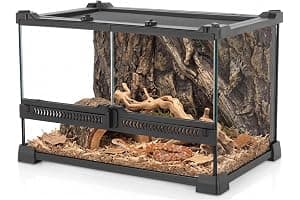 NEPTONION Mini Reptile Glass Terrarium 12"x8"x8" Durable Reptile Habitat Tank with Heat Resistant Aluminum Alloy Frame, Double Swinging Doors for no Jam by Sand and Other Debris
