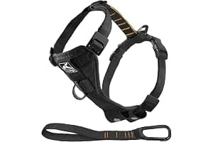 Kurgo Tru-Fit Smart Dog Walking Harness - Comfortable Fit - Adjustable Harness - Reflective Pet Wear - Quick Strap Release - Daily Walk Accessory - Includes Seat Belt Loop - Black - Medium