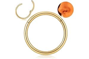 Afftiny Nose Ring Septum Hoop 20G/18G/16G/14G/12G 316L Surgical Stainless Steel Hinged Seamless Earrings, Diameter 5MM-16MM, Gold/Silver/Black/Rose Gold/Rainbow Color