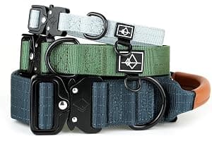 Made to ROAM Premium Dog Collar - Adjustable Heavy Duty Nylon Collar with Quick-Release Metal Buckle (Oregon Haze, Classic Size 4)