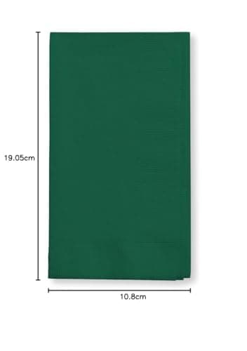 Creative Converting Touch of Color 100 Count 2-Ply Paper Dinner Napkins, Hunter Green