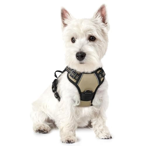 rabbitgoo Dog Harness No Pull with 2 Leash Clips, Adjustable Soft Padded, Reflective Oxford No Choke Pet Vest with Easy Control Handle for Puppy, Beige, XS