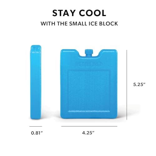 Igloo Maxcold Ice Block,4 Pieces
