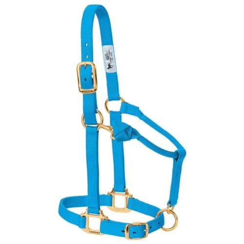Weaver Leather Original Adjustable Nylon Horse Halter, Yearling, Hurricane Blue