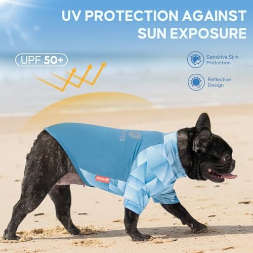 KYEESE 2Pack UV Protection Dog Shirt, UPF 50+ Cooling Dog T Shirts for Small Dogs Boy, Breathable Reflective Dogs Sun Shirts with Sleeves Summer Pet Clothes, Blue, M