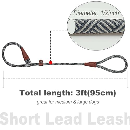 SEPXUFORE 3 FT Slip Lead Dog Leash, No Pull Nylon Training Lead