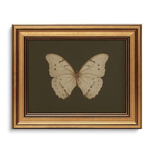 Gold Framed Wall Art Vintage Butterfly Canvas Wall Art White Butterfly Moody Insect Artwork Prints Picture for Living Room Bedroom Farmhouse Bathroom Office Decor, 8x10