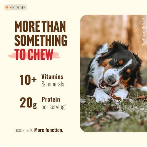 Natural Farm Odor Free Bully Sticks (2-3 Inch, 1 Pound) for Small & Medium Dogs - 100% Beef Chews for Pups, Non-GMO, Grain-Free, Fully Digestible Long Lasting Dog Treats