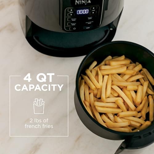 Ninja Air Fryer, 4 QT Capacity, 4 in 1 Roast, Crisp, Reheats and Dehydrates, Dishwasher Safe Parts, 105 F to 400 F, 1550 Watt, Grey, 1 Count