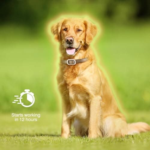 Flea Collar for Dogs, 4 Pack Flea and Tick, Dog Flea Collar with Natural Essential Oils, Adjustable Size for All Ages of Dogs