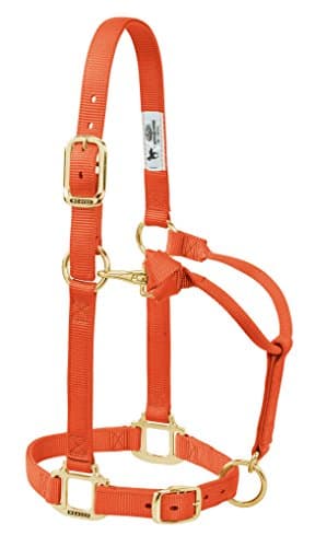 Weaver Leather Original Adjustable Nylon Horse Halter, Average Horse, Orange