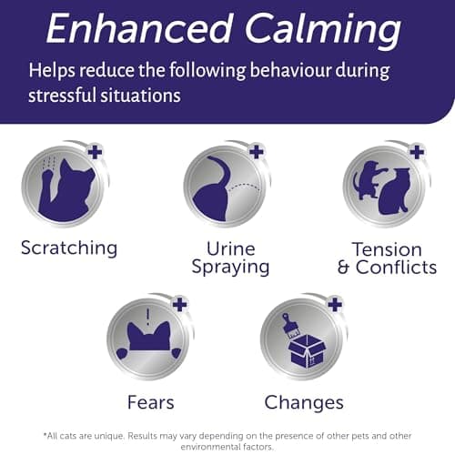 FELIWAY Optimum Diffuser Refill, Promotes Calmness AND Harmony in Cats & Kittens, VHP Registered NN.P5V2, includes 1 Refill, Lasts 30 Days, Cat Calming Pheromones, 48ml