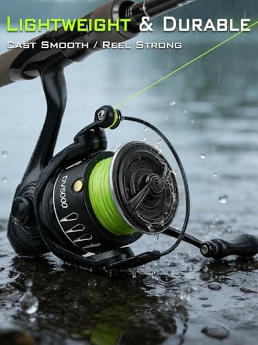 DV3000 Spinning Reel - 5.2:1 Gear Ratio, 5+1 Stainless Steel Bearings, 15.5LBS Max Drag, Heavy-Duty Carbon Fiber Frame for Freshwater/Inshore Fishing (6.7oz)
