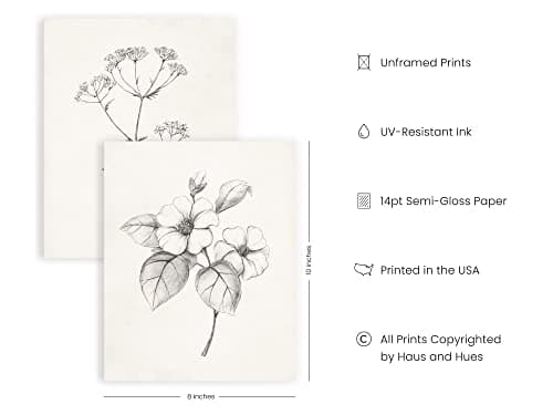 HAUS AND HUES Grey Floral Wall Art - Set of 4 Plant Posters for Wall Vintage, Botanical Prints, Black and White Flower Pictures for Room Aesthetic, Farmhouse Bathroom, Rustic Art (8x10, Unframed)