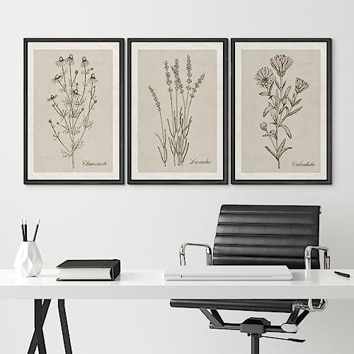 NWT Framed Canvas Print Wall Art Set Retro Vintage Antique Garden Wildflowers Nature Wilderness Illustrations Modern Art Decorative Minimalist Floral Botanical Flowers for Bedroom - 24"x36"x3 Black