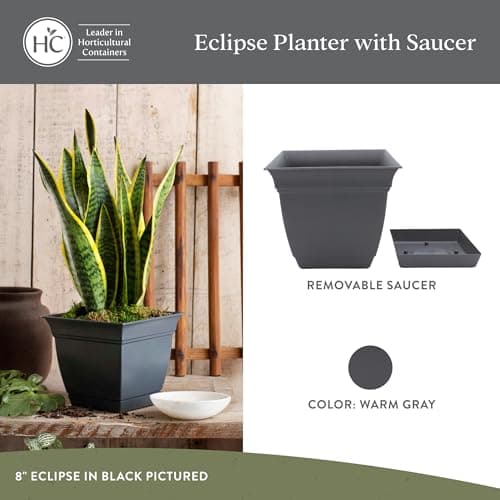 The HC Companies Eclipse Square Plastic Planter w/Attached Saucer - Outdoor & Indoor Plant Pot with Drainage Holes - Lightweight, UV-Resistant Plastic Pots for Plants (8" Warm Gray, Pack of 4)