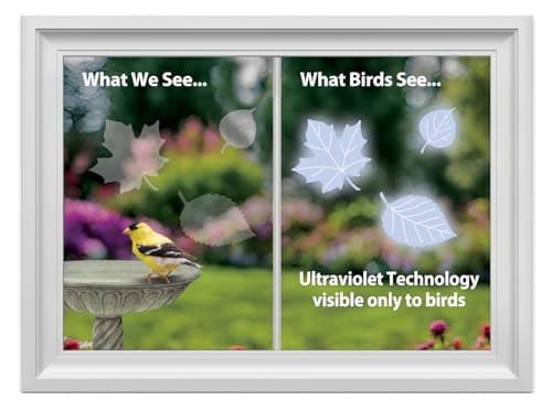 WindowAlert Leaf Medley Anti-Collision Decal - UV-Reflective Window Decal to Protect Wild Birds from Glass Collisions 2-Pack - Made in The USA