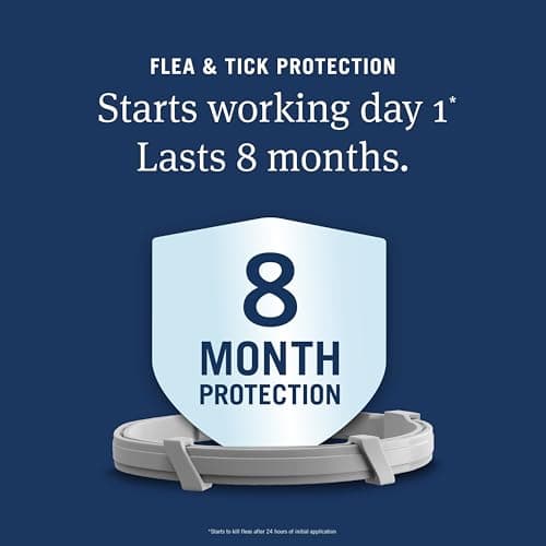 PetArmor Extend Flea & Tick Treatment & Prevention Collar for Cats, 8 Months of Protection, 1 Count