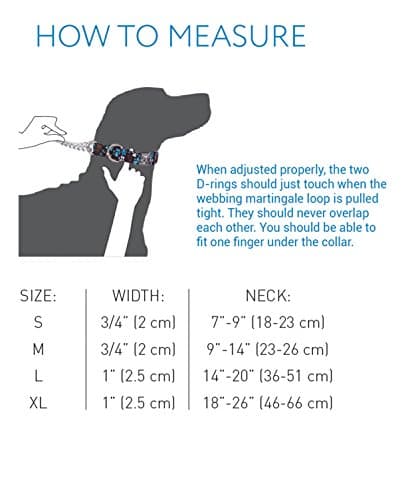 RC Pet Products 3/4 Inch Training Martingale Dog Collar, Small, Heart of Gold
