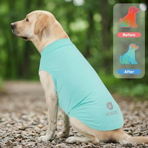 KYEESE 2Pack Dog Cooling Shirt with UPF 50+ UV Protection, Blue, 2XL