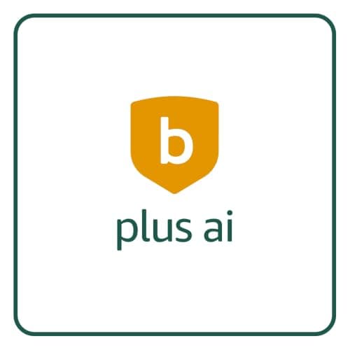 blink plus ai yearly