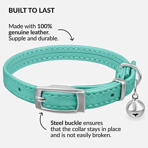 CollarDirect Leather Cat Collar with Bell - Kitten Collar, Small and Big Cat Collar for Boy Cats, Girl Cats with Safety Elastic Strap (Neck Fit 8"-11", Mint Green)