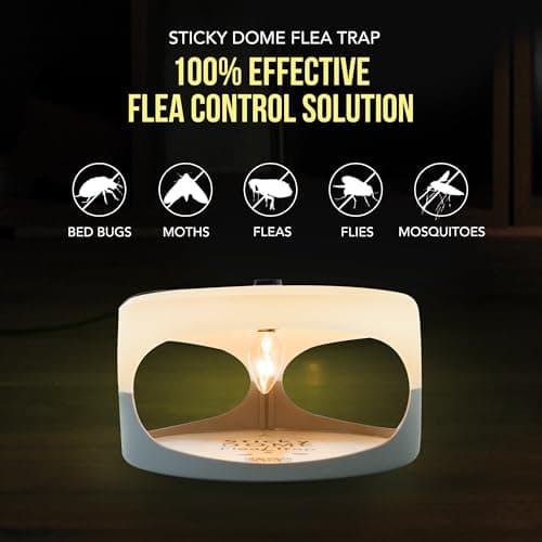 ASPECTEK Sticky Dome™ Flea Trap – 2 Pack | Indoor Insect Trap with 2 Sticky Discs, Odorless (White)